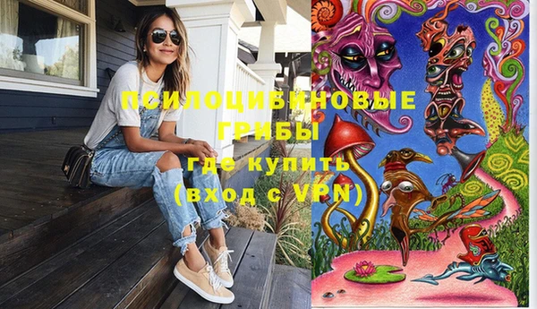 не бодяженный Арсеньев