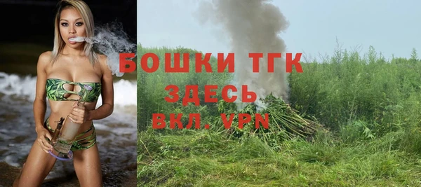 индика Киреевск