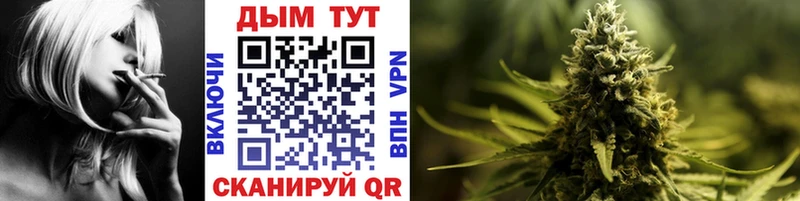 наркотики  Тайшет  Бошки Шишки SATIVA & INDICA 